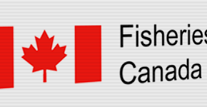 Vancouver IT Consultant for Canada Federal Government